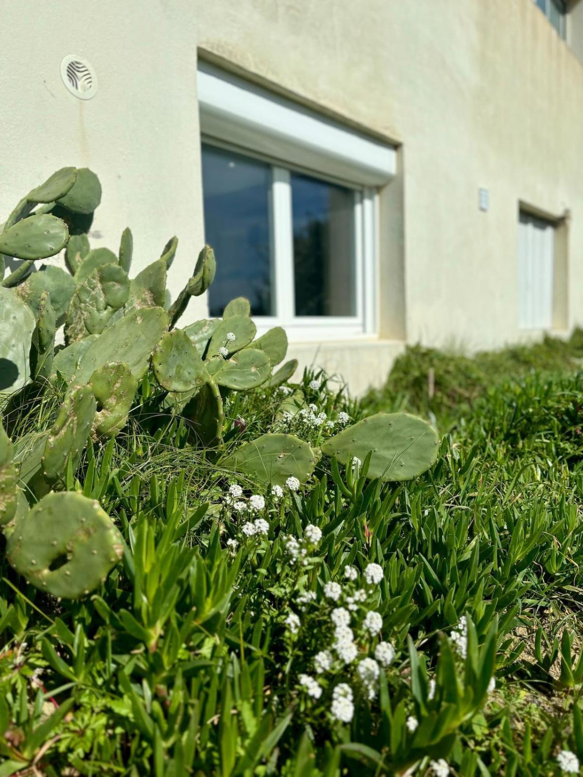 La Graviere, Cozy Studio Wifi & Parking 20M Ocean Surf Plage Сорт-Осгор Экстерьер фото